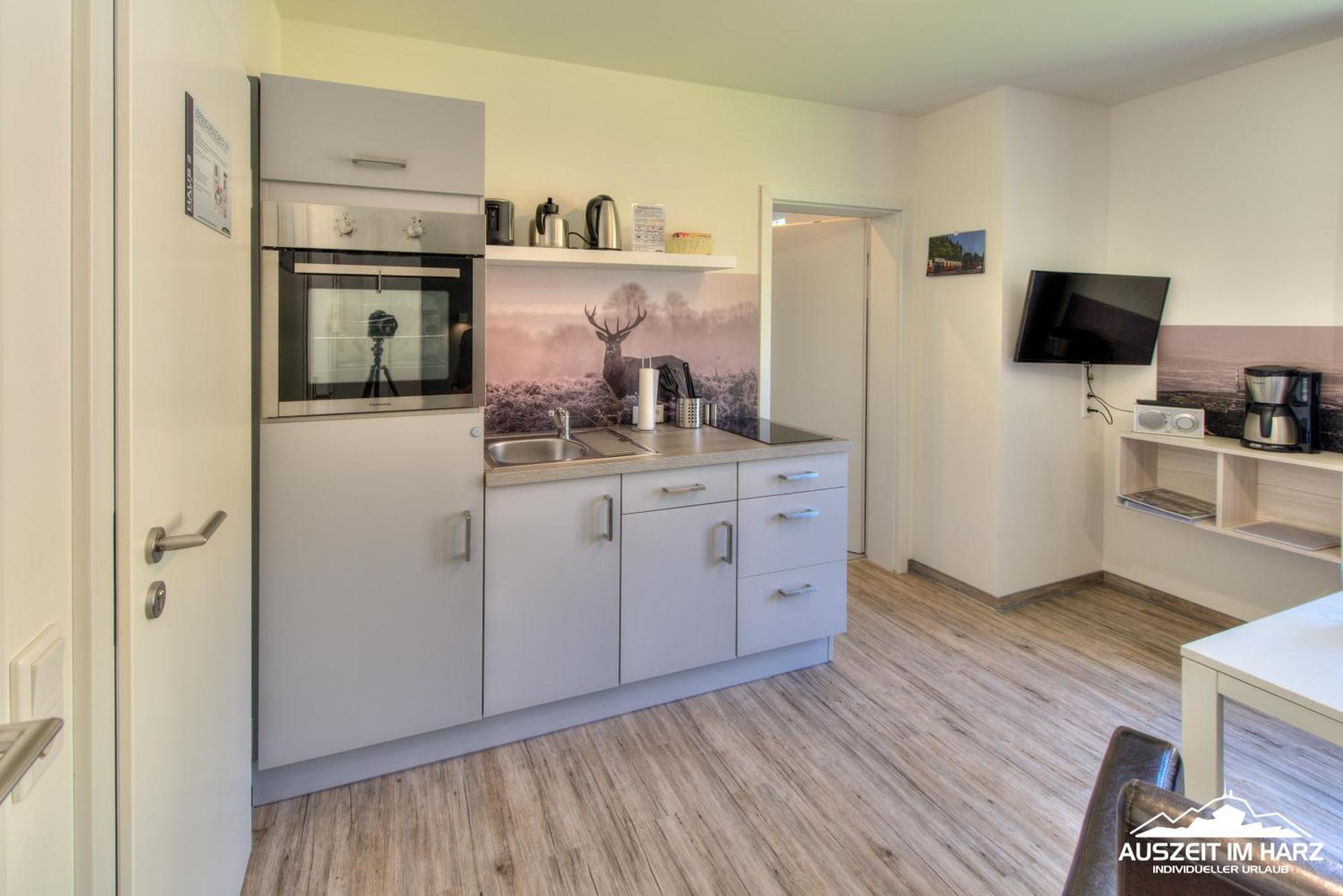 Auszeit-Im-Harz Haus 2 Wohnung 4 施尔奇 外观 照片
